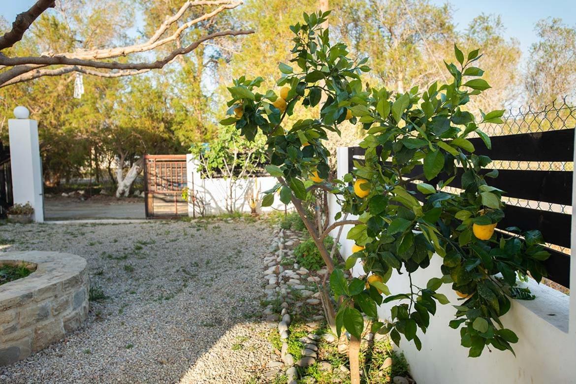 Afrathias Beachhouse - Cretan Hideaway Kalamaki  Luaran gambar